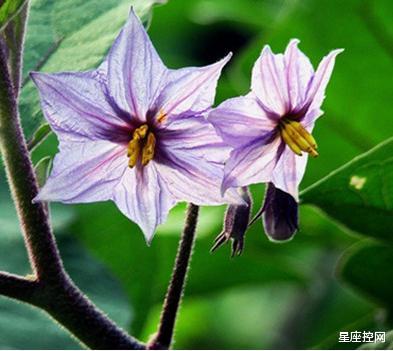 见多识广|哪些月份出生的人，见多识广有远见，9月突破自我，事业蒸蒸日上