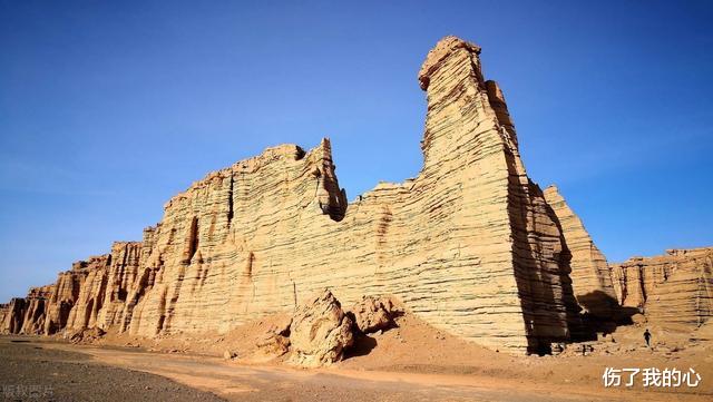 科学家|科学家彭加木罗布泊失踪的秘密被隐瞒了30多年，最终真相大白