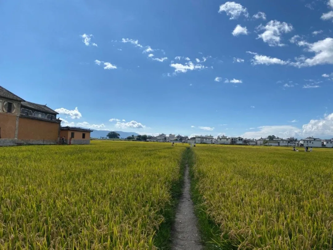 大理|又一网红景点被毁：对不起，你配不上朋友圈晒出来的美景！
