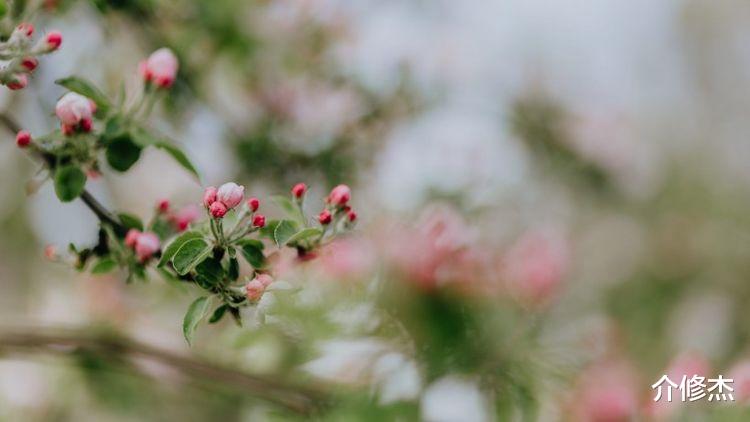 生肖|未来15天，好运连连，迎财神接贵人，一鸣惊人发大财的四大生肖！