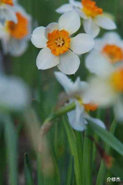 【生肖】6月下旬,从不缺异性缘,天生就招人喜欢,让人羡慕不已的4大生肖