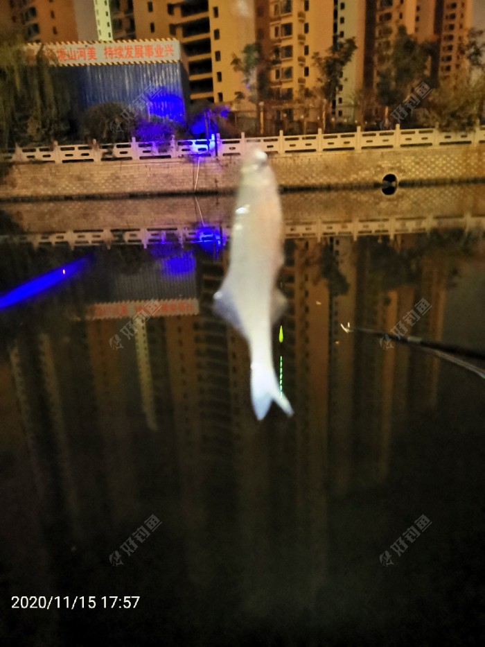 |夜晚手竿钓 小鱼闹死了