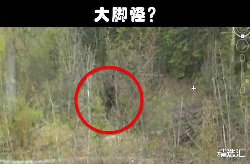 谷歌地球|在谷歌地图上，被人们发现的9种可疑的奇特生物