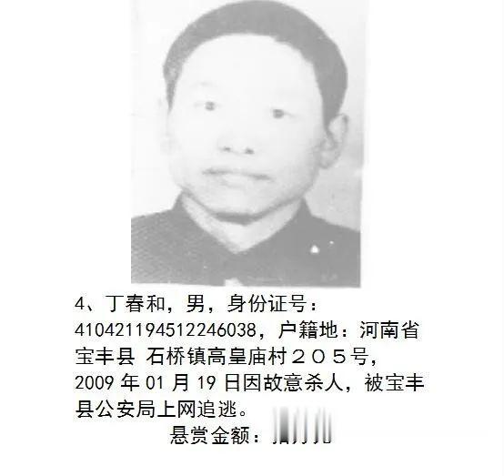 平顶山生活百科|扩散！平顶山警方通缉这47人！最高奖10万元！