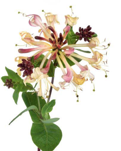 |9月下旬,4属相好运降临,事业顺利,名利双收,生活平步青云