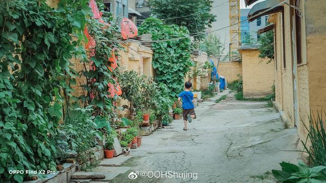 闪存|手机超广角镜头拍不出大片感？也许是你没学会这几个要点