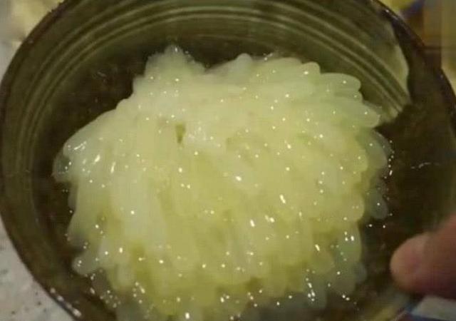 章鱼|这海鲜在日本人人都爱吃，但扎破之后，中国网友表示：完全没食欲
