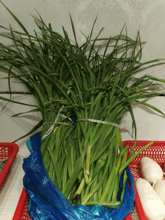 大蒜|200元/公斤！浙江人爱吃的这个叶菜，价格贵过海鲜！