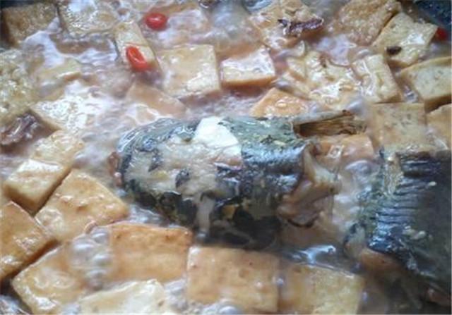 紫薯|它是被人误会最多的鱼，全身都是宝，比甲鱼营养，4块一斤没人买