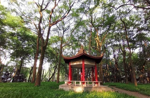 招生|2020高考招生爆冷的3所名牌大学，录取分很低！捡漏的同学太幸运