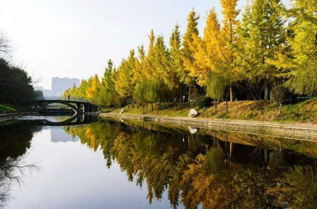 武汉|国内唯一惨遭降级的大学，从211沦为普通本科，受的打击实在太大