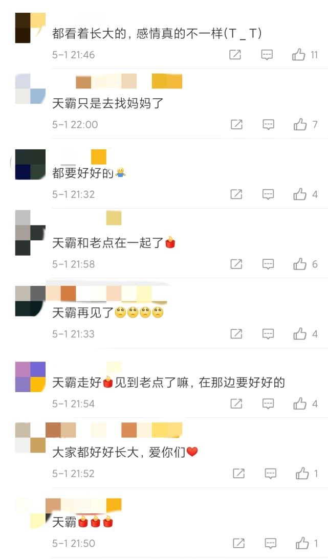 向往的生活▲《向往的生活》先导片开播,明星阵容太过强大,没想到开始就收到悲伤的消息