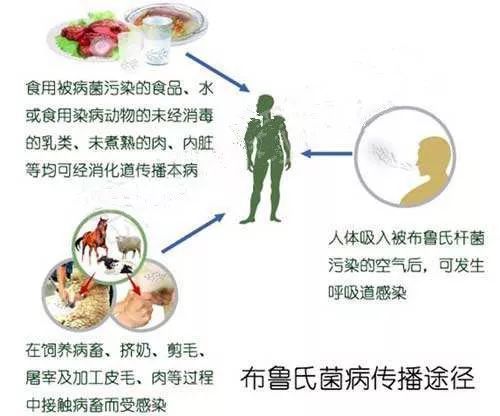 连云港手机台|兰州兽研所布病超3000人阳性，究竟怎么回事？