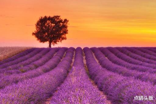 旧爱|9月至10月份天遂人意福星照,日子红火喜盈门的三大星座