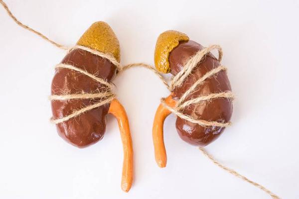 医院|肾不好，小便知道！排尿若有4种异常表现，肾可能出问题了