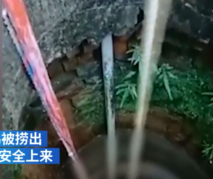 微社评 江西一家长为了一只鸡，将亲生孩子吊入深井中：这有啥怕的？