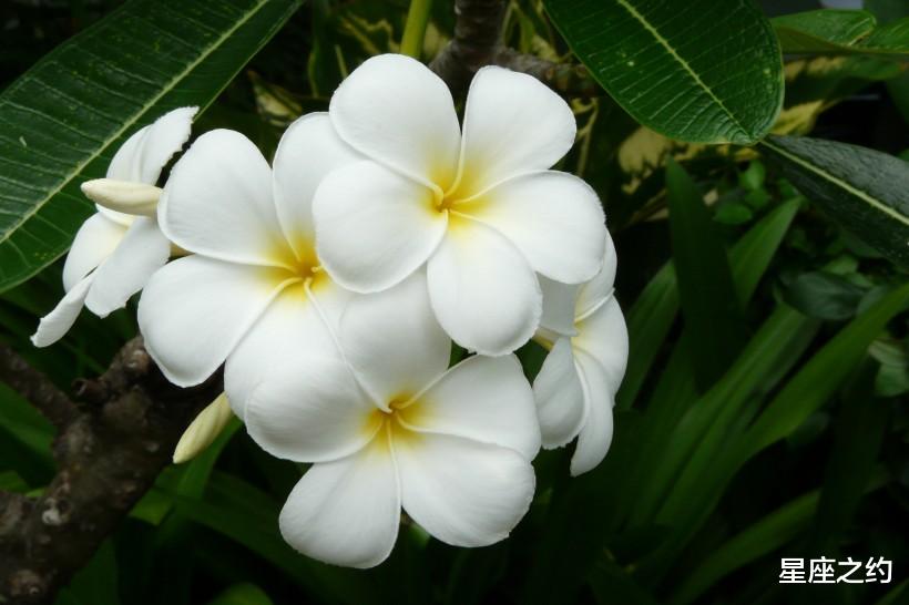 旧爱|在9月份，月老庇护，美好重现，喜笑颜开的三大星座