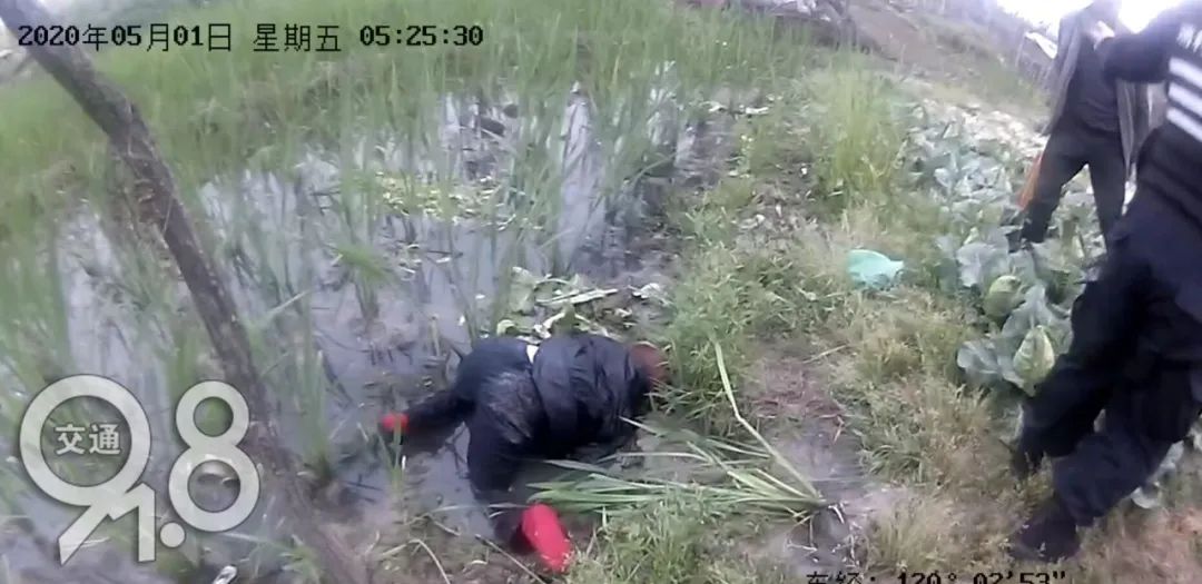 [民警]停电信息|警方接到匿名电话：水田里趴着个披头散发的女人