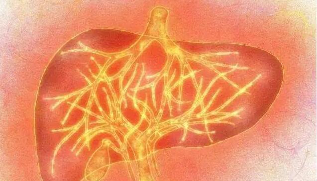 肝脏▲肝不好看眼:眼睛若出现这3个现象,需警惕!或是肝脏在“求救”