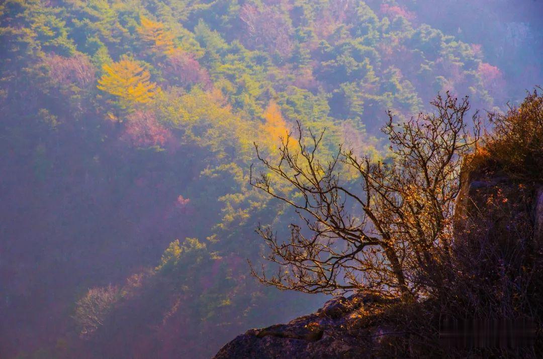 |有此美景 何必远行