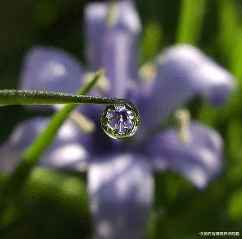 运势|进入8月份，4属相运势上上签，发家又致富，好运连连，步步高升