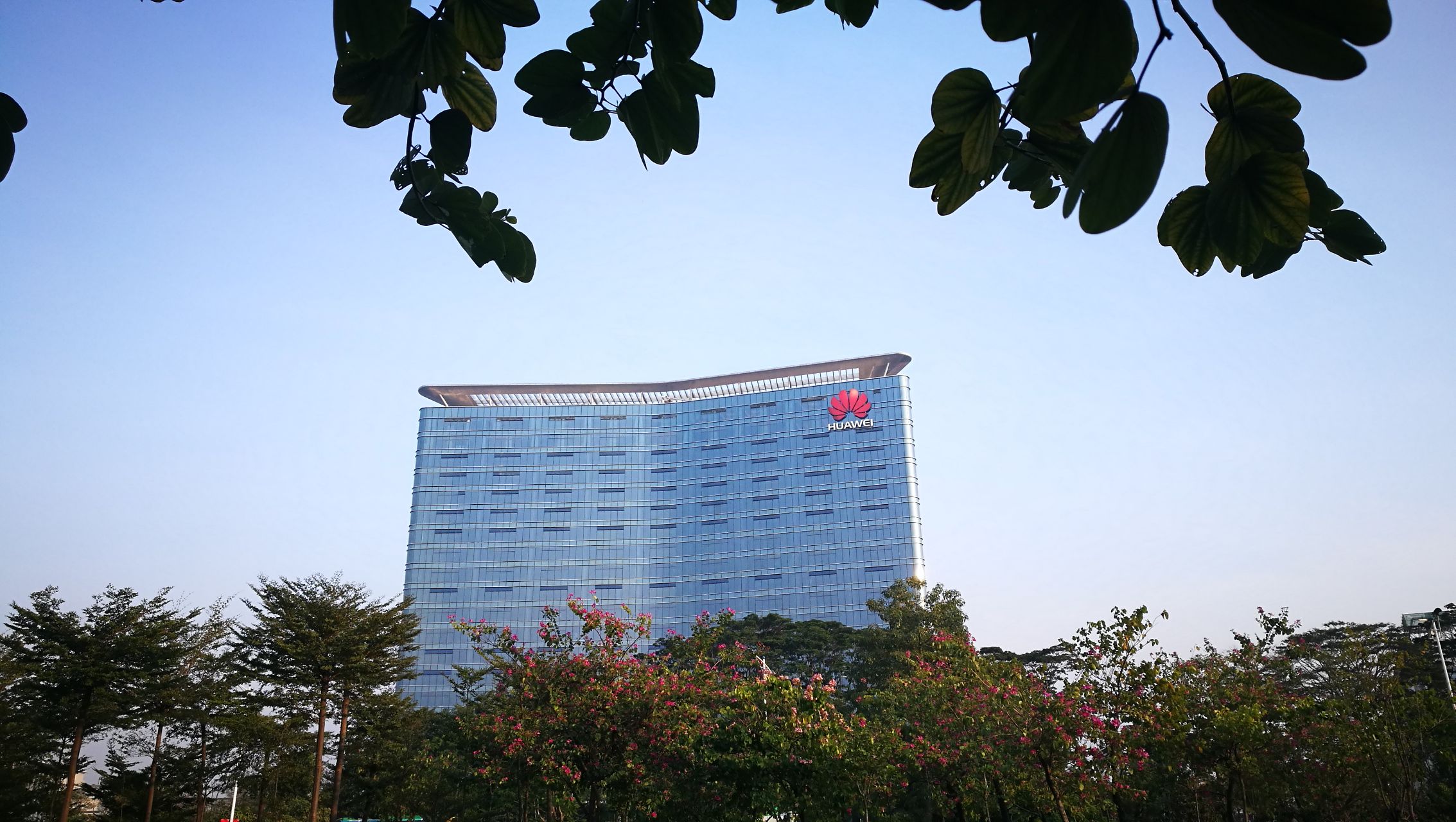 美国：报应来了！澳洲失去我国市场后，迎来5国拒绝“希望中方收手”