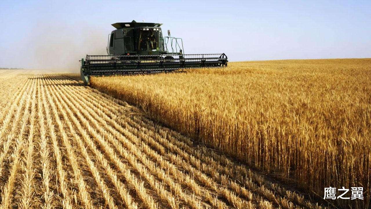 #哈萨克斯坦#发现中国粮食储备充足,邻国态度大变,立即恢复对华粮食出口
