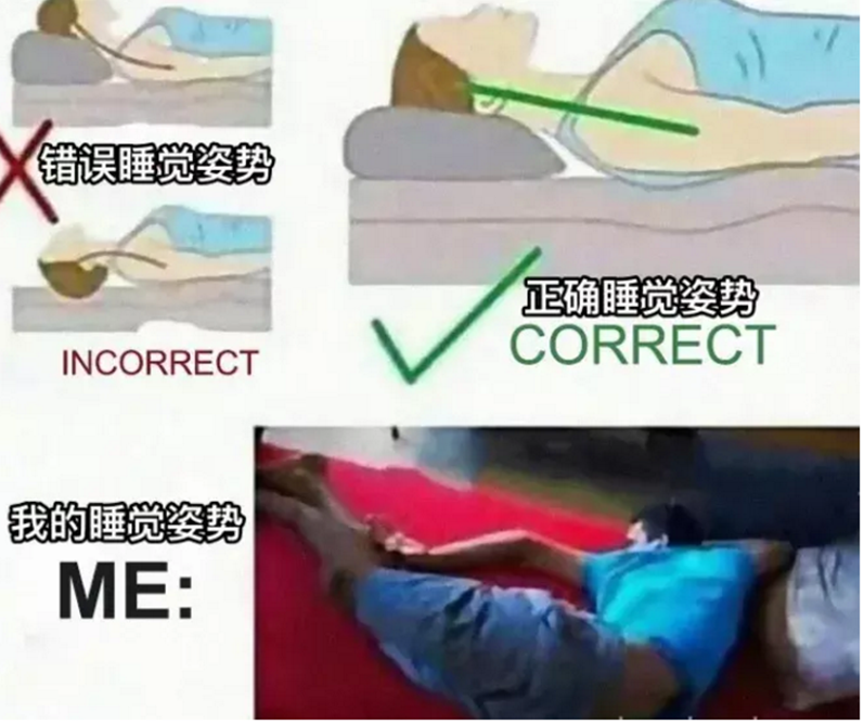 外星人▲假如让外星人根据头骨来想象地球生物，会有多大的反差呢？