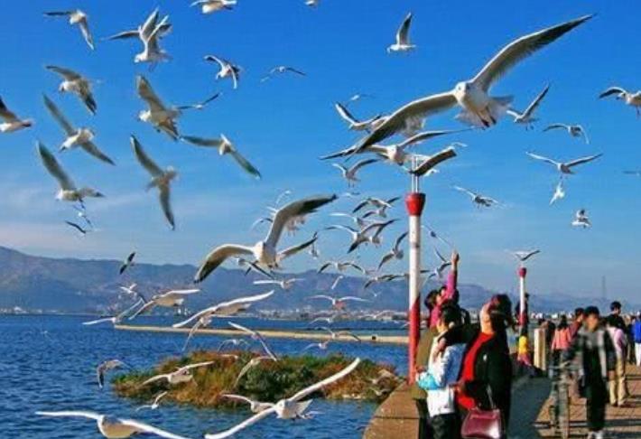 昆明|这是中国最舒适的城市，四季如春，去了就不愿意走