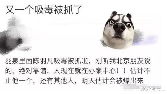 陈羽凡|一个光速打脸，一个实力甩锅，\最美\组合羽泉展现\最好\兄弟情