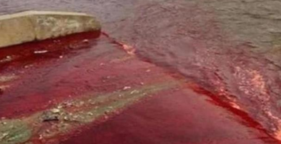 「科学家」传说中的血雨真的存在吗?为什么会有血雨出现?科学家给出答案