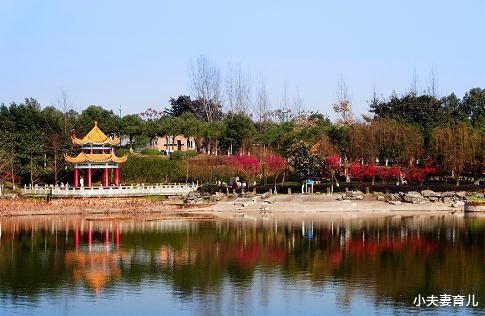 西南政法大学|曾拒绝并入985大学,这所被称为 “最有骨气”的大学,如今怎样了