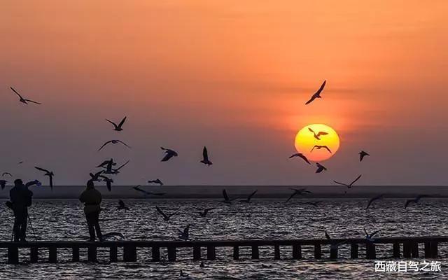 自驾|最适合秋天出行的4条自驾路线，每一个都是上帝的私藏，美爆了