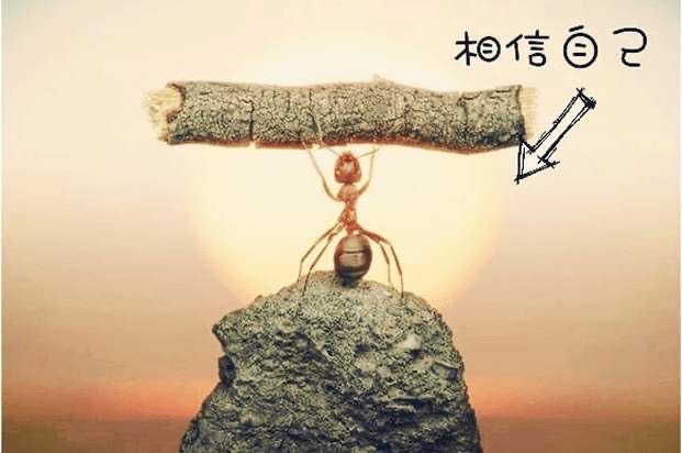 【】高考语文考试中四大标题类试题汇总,用好轻松得高分