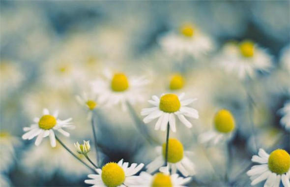 |下半年,有几个星座有转折,或许能晋升