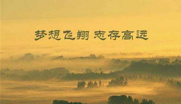 投档分数线|投档分数线疯狂“跳水”93分，下降80、70分院校大有人在，谁？