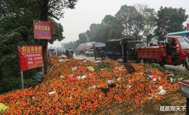 越南▲越南又接收一噩耗，出口中国的水果将归零，这回终于感到痛了