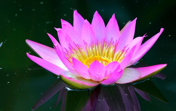 双子座|在18天内，桃花漫天，前任强势回归，再续前缘的4大星座