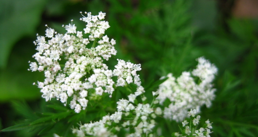 星座爱情观|一旦分手，就不会跟前任纠缠不清的星座，主动远离，不再打扰