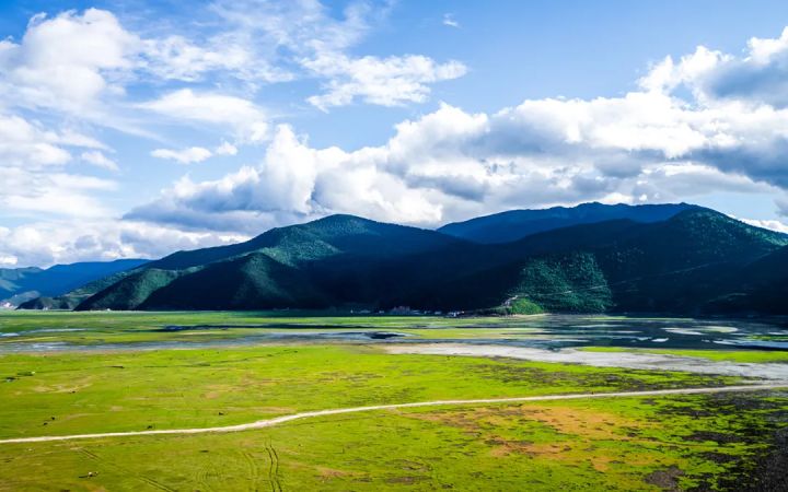 香格里拉|这6个堪称中国最美的草原，到过几个？