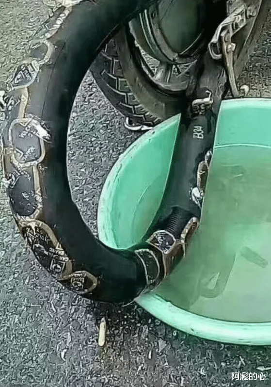 孙悟空|“如果取经队伍换成孙悟空、杨戬和金翅大鹏会怎样?”哈哈哈西天抢经