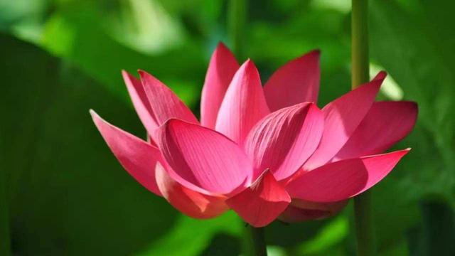 天蝎座|让人难舍难分的星座，即使发生争吵，也舍不得离开他们