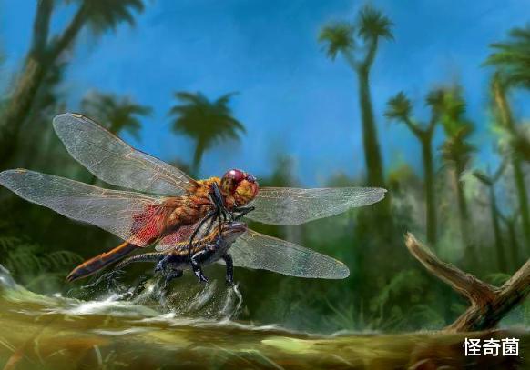 『』地球含氧量瞬间翻一倍会怎样？五种可能情况，每个都让人害怕