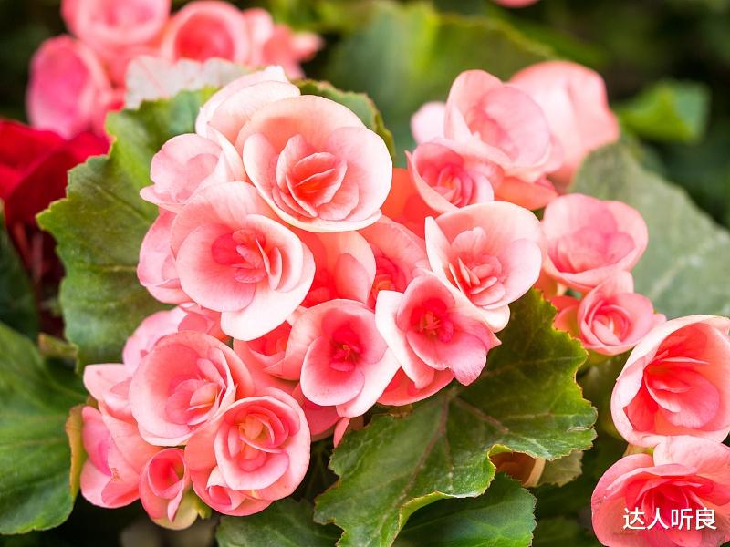 运势|9月开始赚得金山银山，事业马到成功，人生风光无比的4生肖