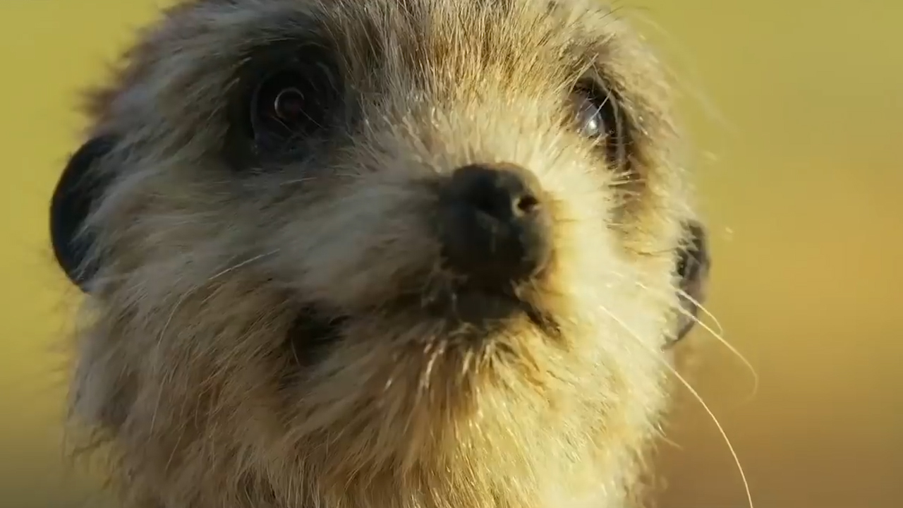 ##横财四面八方来,这几月份出生的人,6月开头66顺,财大66开