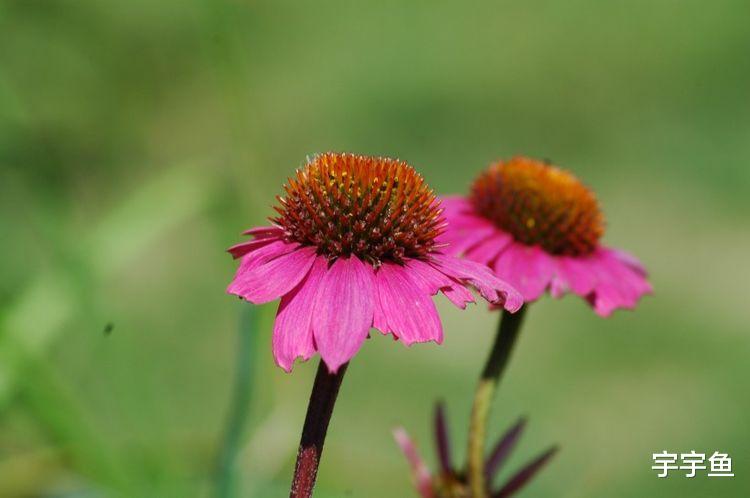 运势|9月开始赚得巨大财富，处处遇贵人，富贵跟着走的四大属相