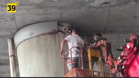 吊车|大连一立交桥下，临时封道，吊车出动…只为救下它