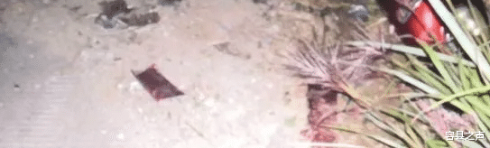 容县之声|广西一大货车撞电动车致车手身亡后逃逸,一名女子在现场嚎啕大哭!