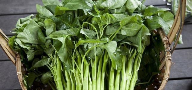 西红柿|这菜季节性太强，钙是西红柿的12倍，才1块钱一斤，别错过了