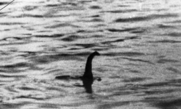 |新疆湖泊发现“水怪”，牛羊被拖走没人敢接近，专家找到谜底